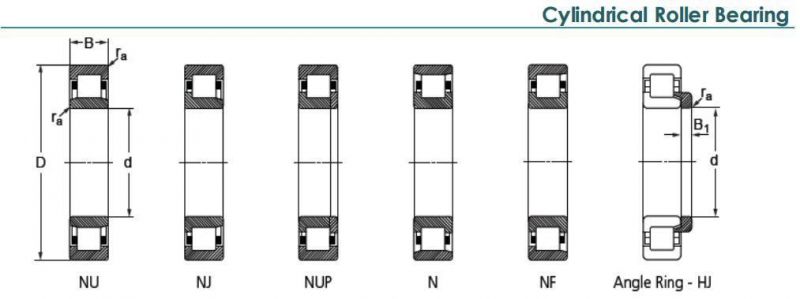 GIL Stainless Steel NU/NJ/NUP/N/NF Cylindrical Roller Bearings