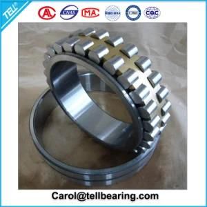 Cylidrical Roller Bearing, Double Row Cylindrical Roller Bearings