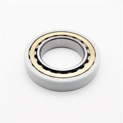 Insocoat Electrically Insulated Cylindrical Rolling Bearings Nu 317 Ecm/C3vl0241