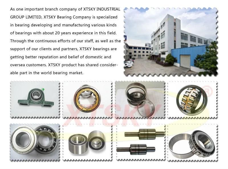 Cylindrical Roller Bearing (NU205)