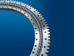 Luoyang Slewing Bearing (021.50.2000)