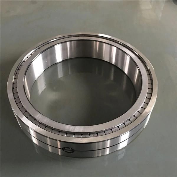 Chik/NSK/SKF/NTN/Koyo/ /Timken Brand N2305~N2312 Model Cylindrical Roller Bearings for Sale