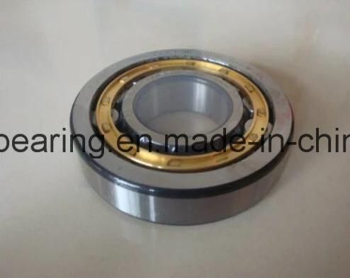 Nn Nj Nu Nup Cylindrical Roller Bearing NSK Nup304em