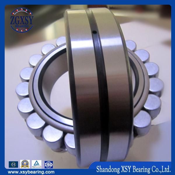 Extra Large Special Large Spherical Roller Bearing (23076)