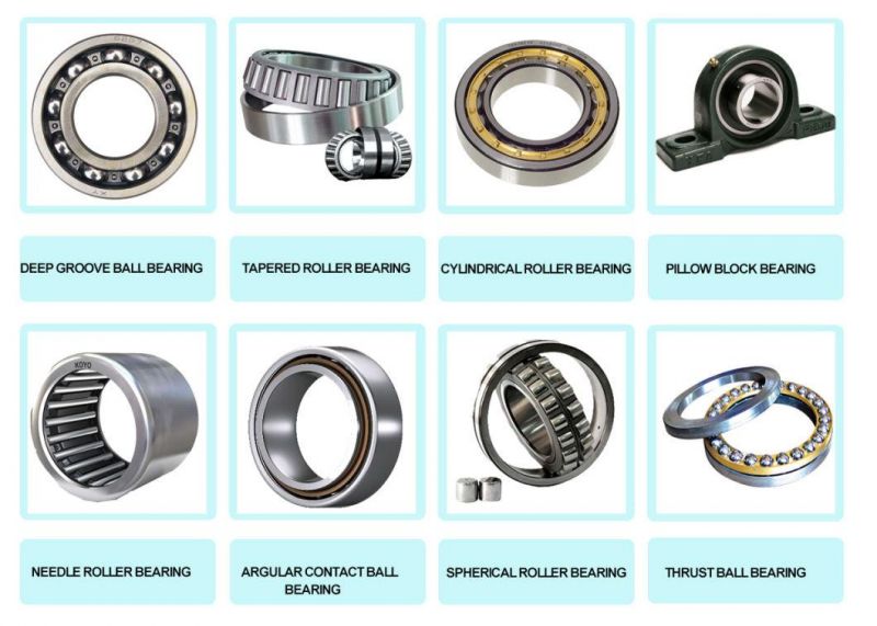 Roller Bearing Cylindrical Roller Bearing N1016 N1017 N1018 N1019 N1020 N1021 N1022 N1024