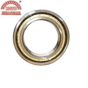 ISO Standard Deep Groove Ball Bearing (6210, 6411)