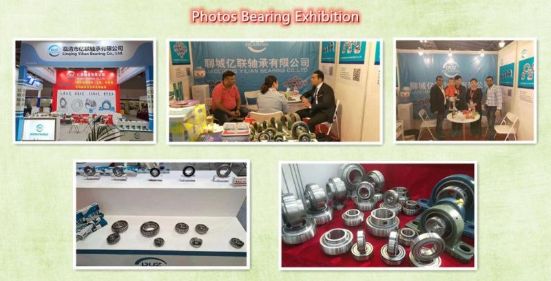 Ball Bearings, Self Aligning Ball Bearing 1308 1304 2201