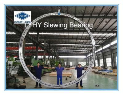 Triple Row Roller Slewing Ring Turntable Bearing 16368001 16369001 16370001 16371001 16372001 16373001 16388001 Kaydon Swing Bearing