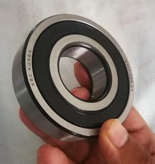 Auto Bearing Durable Long Life 6301 6302 6303 6304 6305 6306 6307 6308 6309 6310 Open/Zz/2RS Deep Groove Ball Bearing Bicycle Bearing Motrocycle Bearing