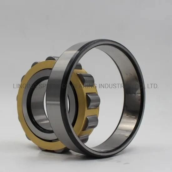 Nu/Nj/Nup/N/NF Series Single Row Cylindrical Roller Bearings