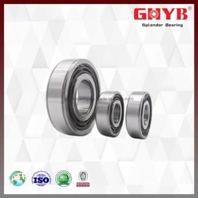 Customized OEM NTN NSK NACHI Deep Groove Auto Parts Ball Bearings 6304 Chrome Steel Anti-Friction