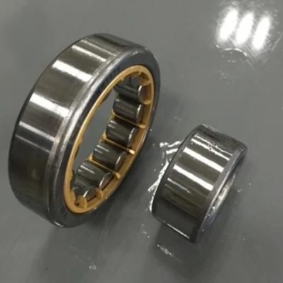 Cylindrical Roller Bearing Nn 3005