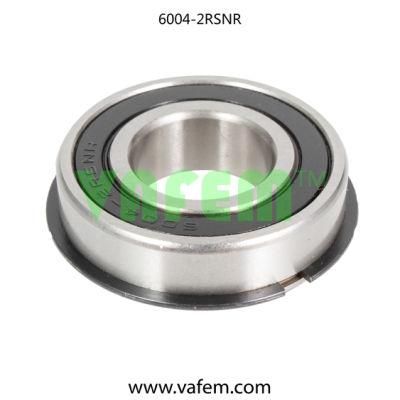 Deep Groove Ball Bearing/Ball Bearing/Bearing/6004-2rsnr/Emq