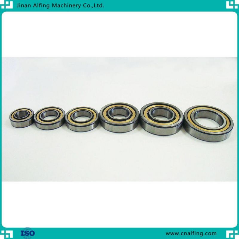 Double Row Chrome Steel Cylindrical Roller Bearing Size High Performance