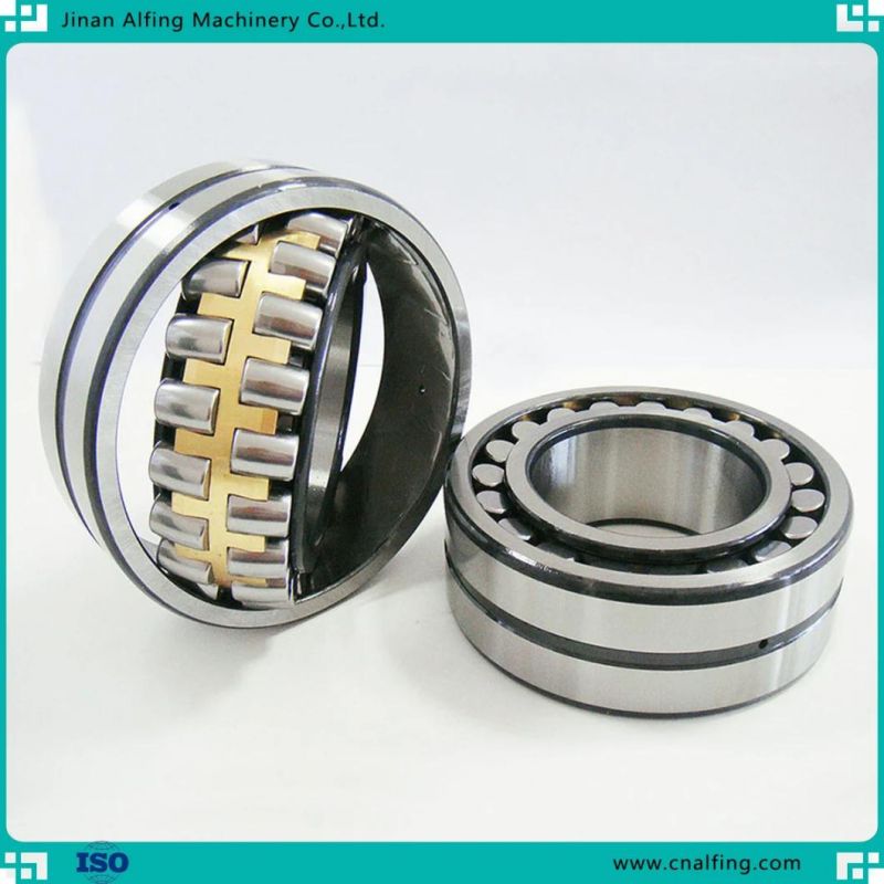 Single/ Double Row Brass Cage Steel Cage Cylindrical Roller Bearing