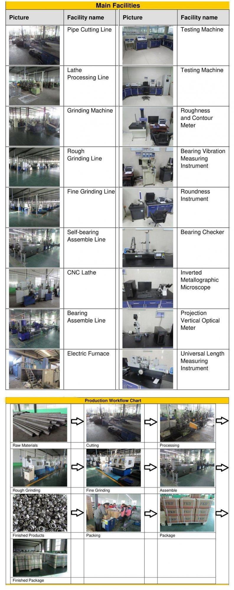 OEM Chrome Steel Housing Units/Pillow Block Bearing