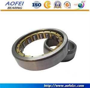 China Bearing Manufacturer high quality double row cylindrical roller bearing NN3020K/W33