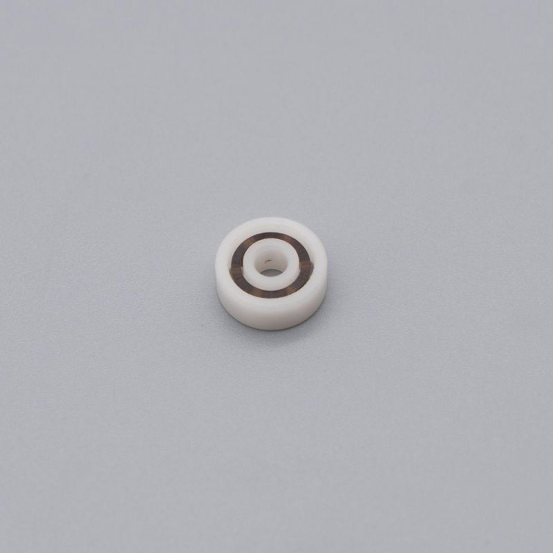 Anti-Acid 6003 POM Plastic Ball Bearing with PTFE Cage