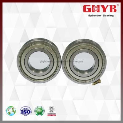 Koyo NACHI High Temperature Resistance Rz/2rz/RS6205 Deep Groove Ball Bearing