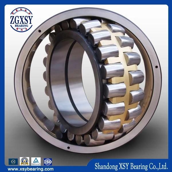 Bearing 1309 Etn9 Self-Aligning Bearing