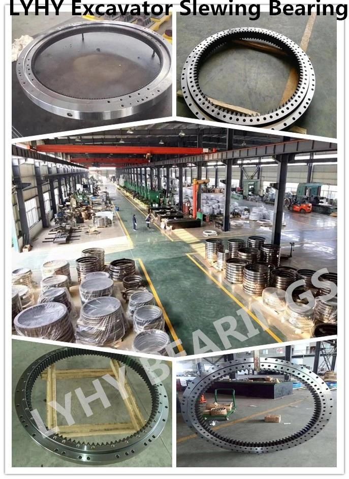 Slewing Ring Bearing 5397/3016 for Port Crane Swing Bearing Port Machinery Cranes Turntable Bering