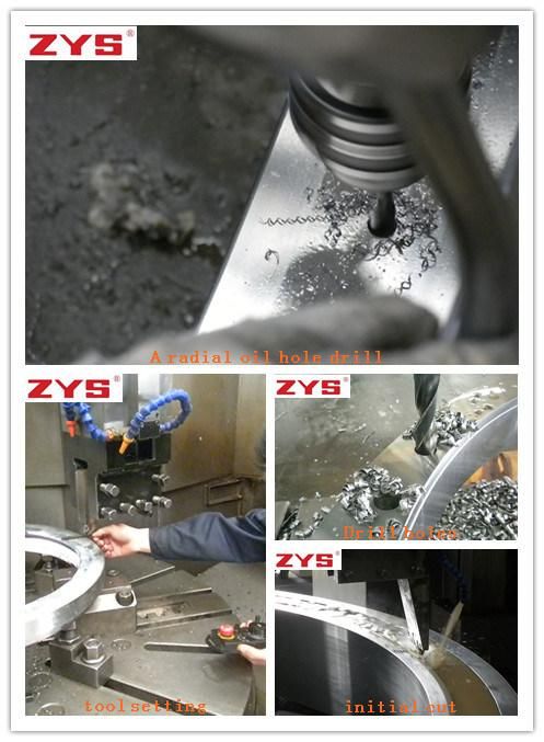 Zys Load Roller / Ball Combination Slewing Bearing for Excavator 221.32.3750