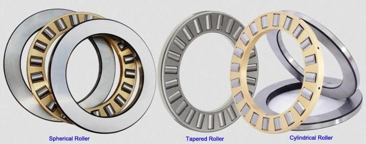 205mm Ttsx205 Cylindrical, Tapered and Spherical Thrust Roller Bearing Factory