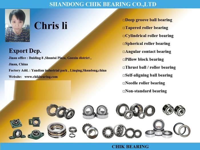 Chik OEM Made in China Pillow Block Bearing Ucph208 Ucph207 Ucph206 Ucph205 Ucph204 Ucph203 Ball Bearing for Mining Machinery