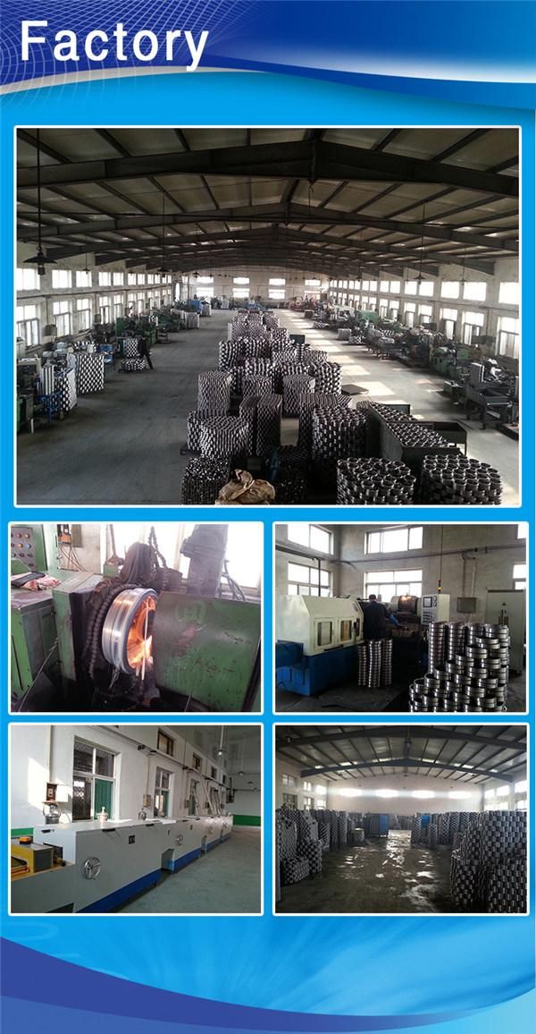 Chik HK Series Needle Roller Bearings with Competitive Price