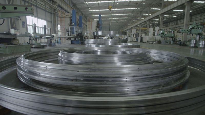 Hot Internal Gear Crossed Roller Slewing Ring Bearing for Tower Crane