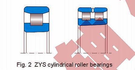 Super Precision Cylindrical Roller Bearing Nnu48/500k