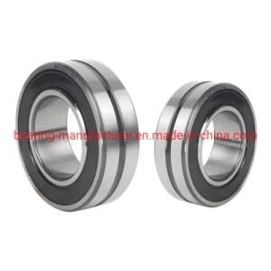 SKF BS2-2209-2RS/Vt143 Sealed Spherical Roller Bearing