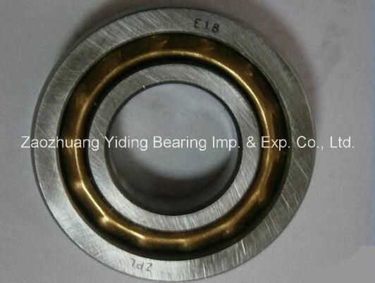 Bearing En15 E15 Bo15 En14 En16 Magneto Bearing for Electric Bikes