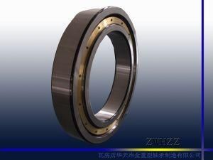 Zwhzz Deep Groove Ball Bearing 61968m