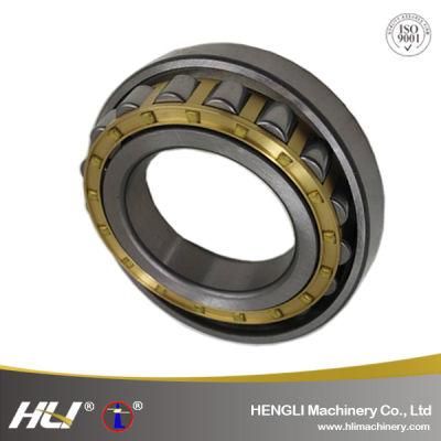 Oil Lubrication N2226EM Cylindrical Roller Bearing