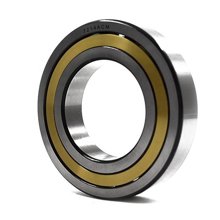 Long Life Angular Contact Ball Bearing Double Row