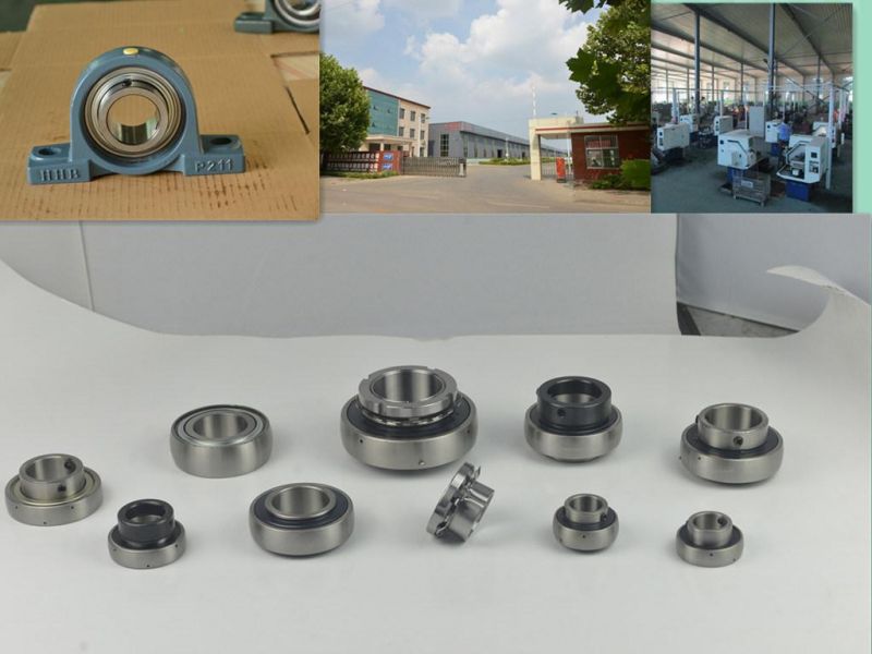 Bearing/UCFL201-218 Bearing with Chrome Steel, (UCP ucf UCFL ucpa ucph ucfc UC)