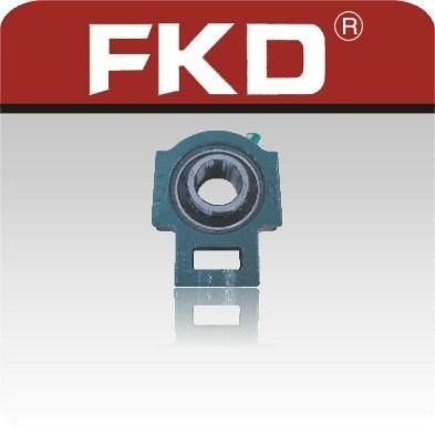 Re-Greasing Fkd Pillow Block Bearing /UCP205 Ucf206 UCFL207 UCT208 Ucfc210 Bearings/Bearing