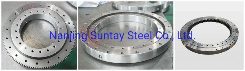 113.50.4500 Internal Toothed Cross Roller Slewing Bearing Ring Segment Erector Slewing Bearing