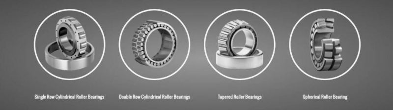 GIL NU202-NU222 d=15-110mm Single Row Cylindrical Roller Bearing