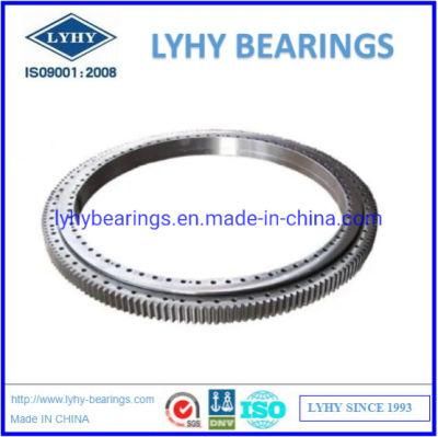 061.25.0764.600.11.1503 Slewing Ring Turntables for Boom Conveyor