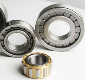 Full Complement Cylindrical Roller Bearings