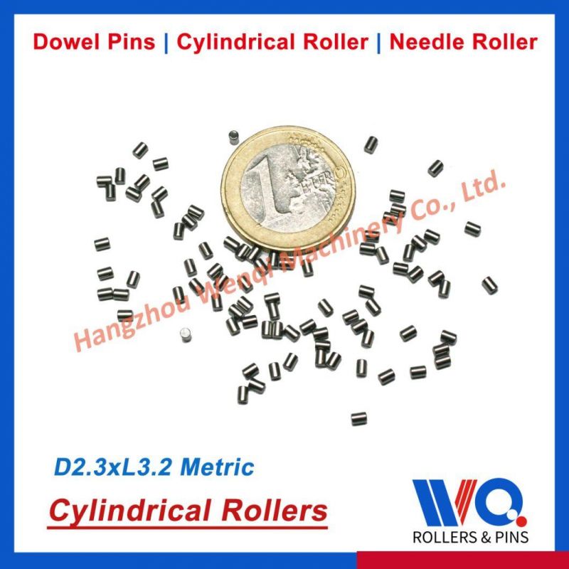 Cylindrical Roller Manufacturer, Type Zb and Zr