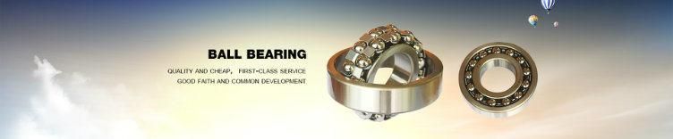 Xsy NSK, NTN, Zgxsy or OEM Self-Aligning Ball Bearings