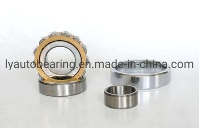 Auto Parts Cylindrical Roller Bearing (42164/NJ1064) Roller Bearing