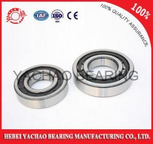 Cylindrical Roller Bearing (N317 Nj317 NF317 Nup317 Nu317)