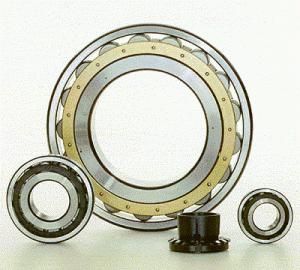 Sperical Roller Bearing (22215)