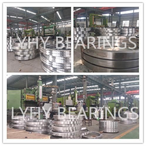 Lyhy Factory Swing Bearing with Internal Gear 1248DBS108y Slewing Ring Ball Bearing