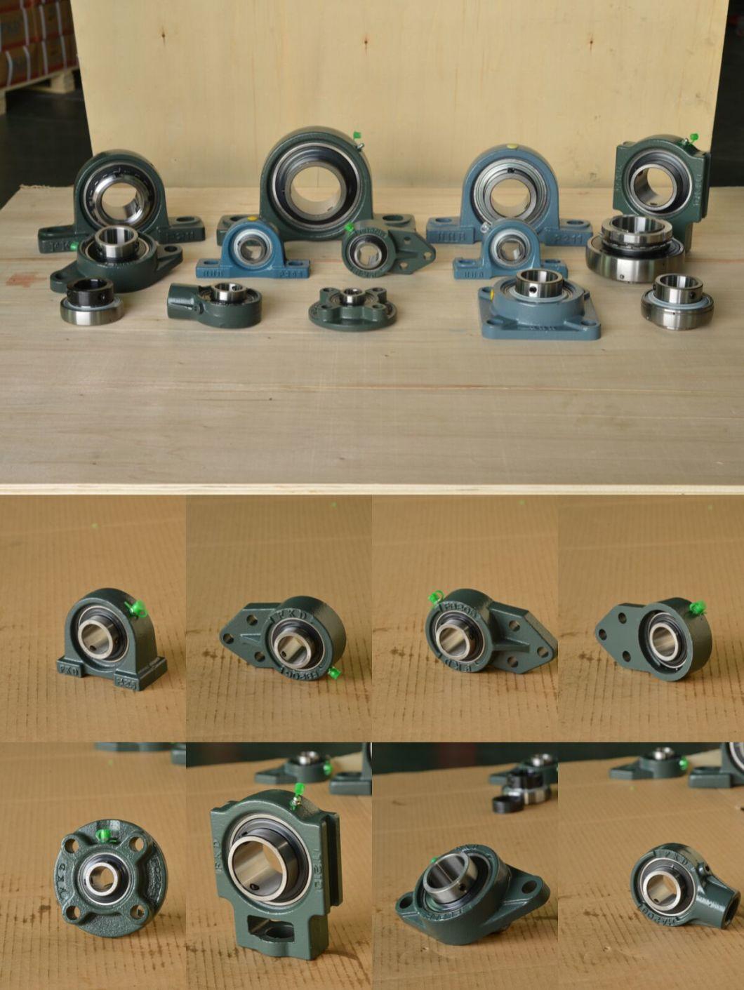 High Level Pillow Block Bearing with Advanced Equipments