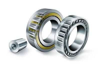 GIL Stainless Steel NU/NJ/NUP/N/NF Cylindrical Roller Bearings